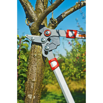 Branches Wolf-Garten Basic Plus Cut de puissance * Rs 650