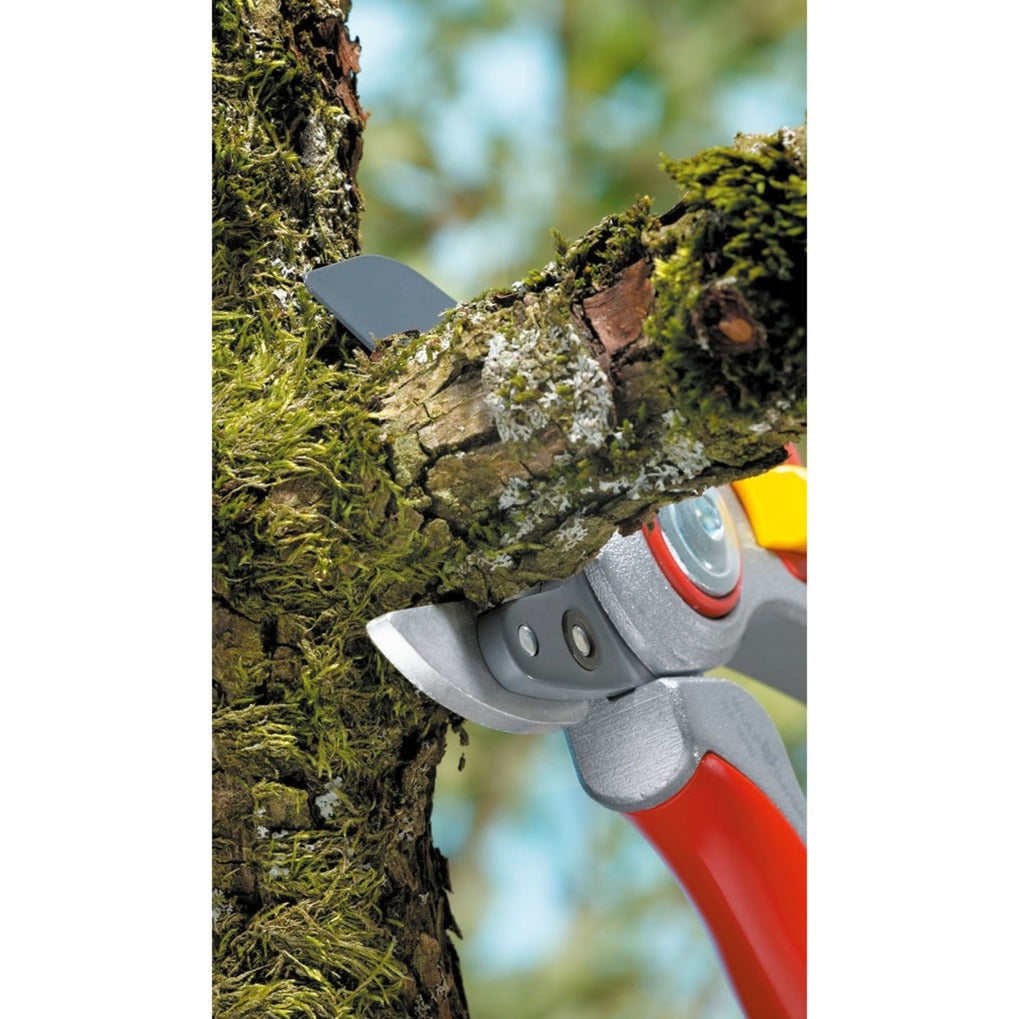 Wolf-Garten Rs 5000 élagage Shears Professional