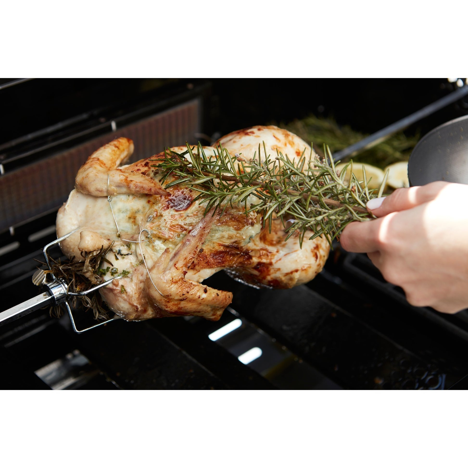 BarboCook Universal Turning Spit avec moteur pour Magnus et Sies