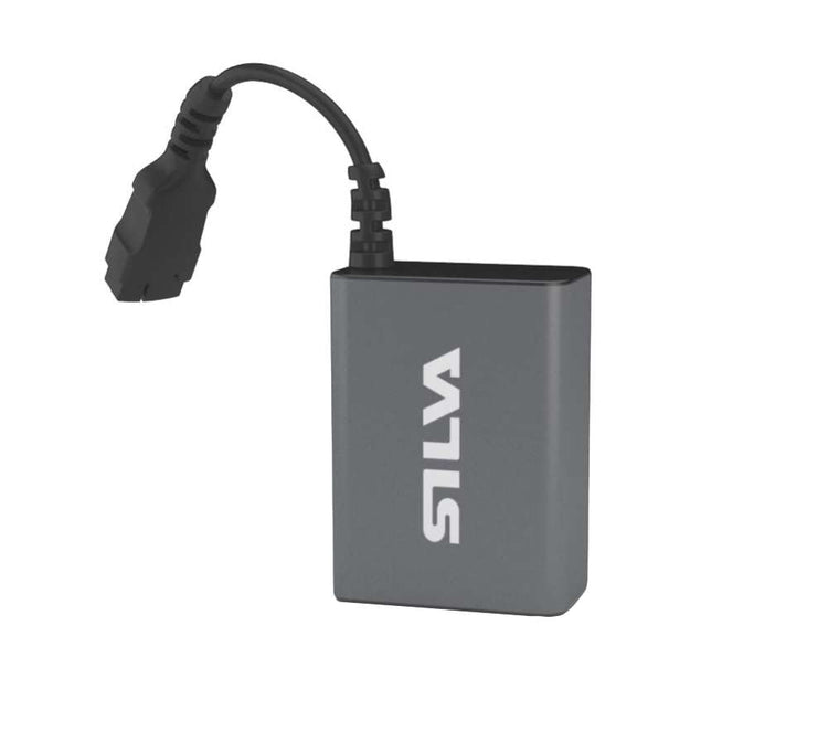 Batterie de remplacement Silva