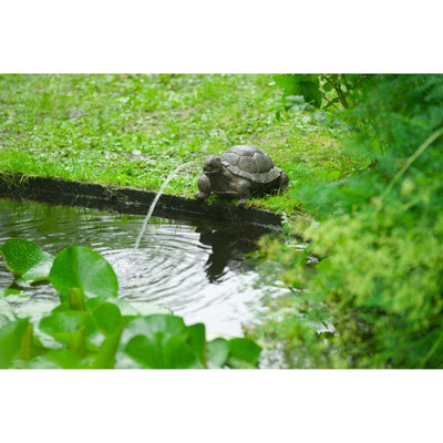 Ubbink Ubbink Spray Figure Turtle