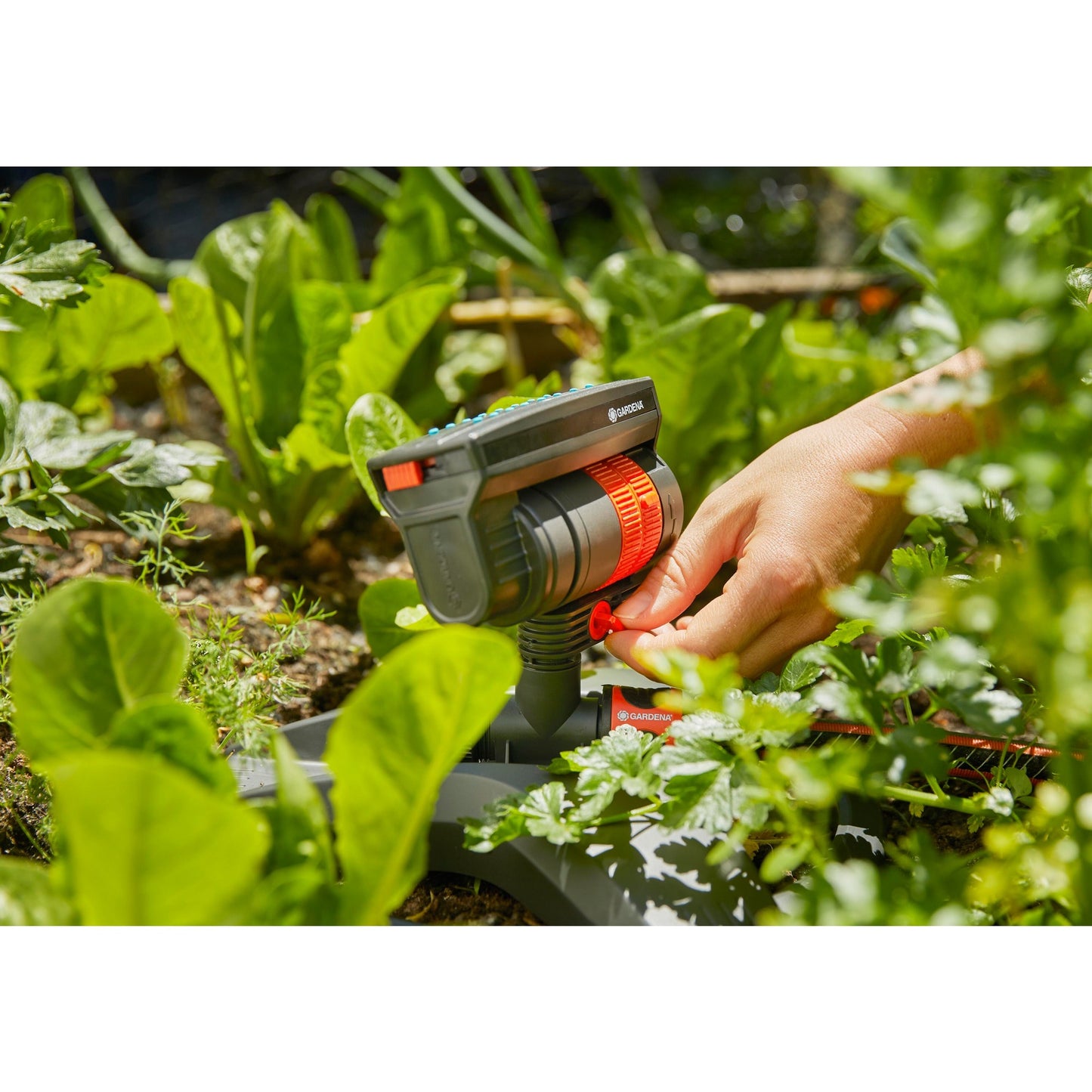 Pulporporteur pivotant Gardena Aquazoom compact