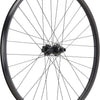 Roue arrière Newmen forge 30 strong enduro 29 6 boulons 12x148 fade