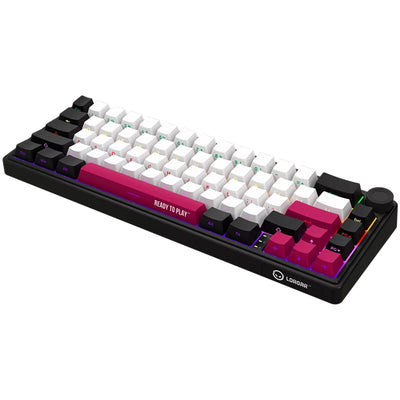 Lorgar kbp70mw, clavier de jeu (noir, disposition américaine, violet toxique logar, 65%, rvb, remplaçable à chaud, pbt double-shot, bluetooth 2.4ghz usb)