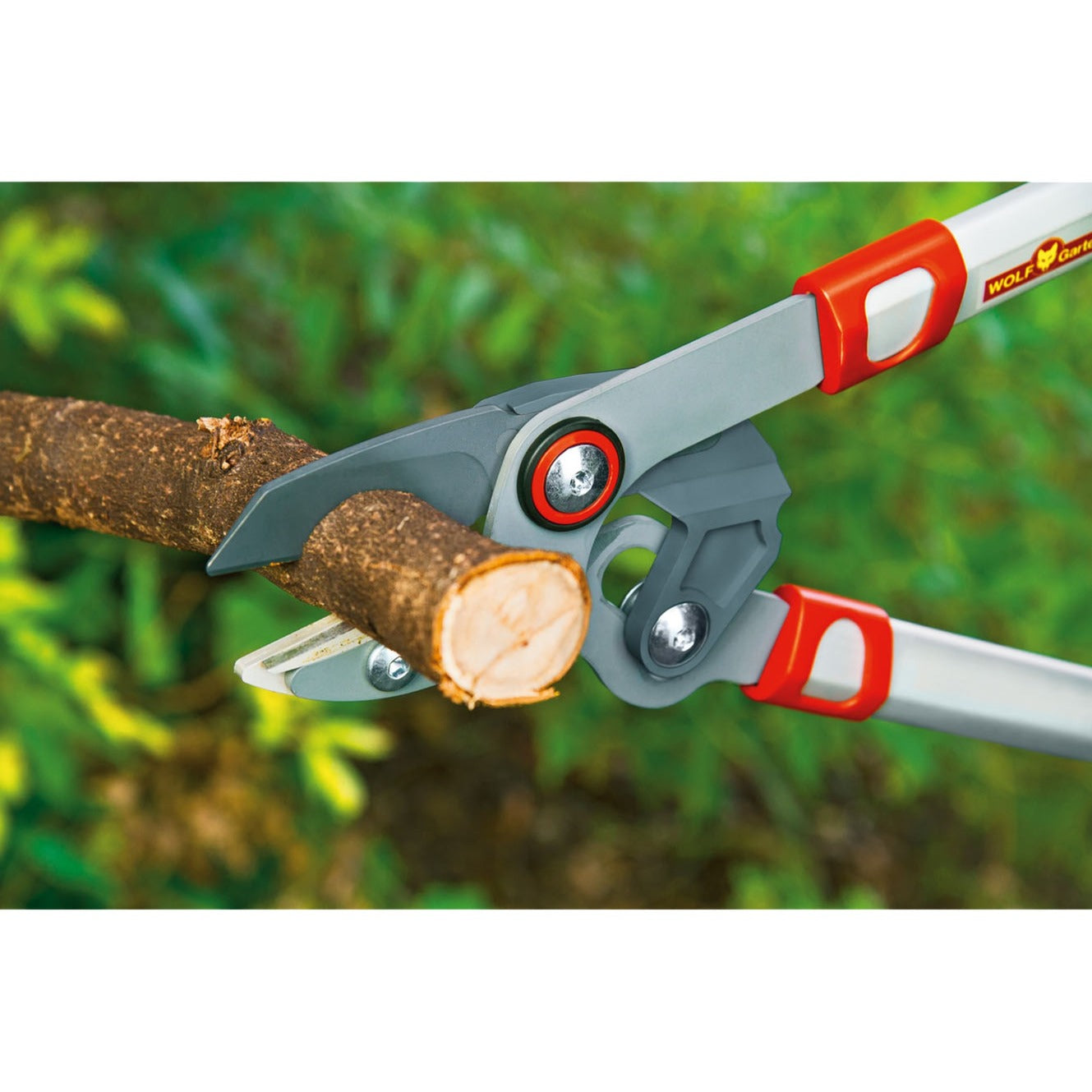 Branches Wolf-Garten Comfort Plus Cut Power ** RS 750