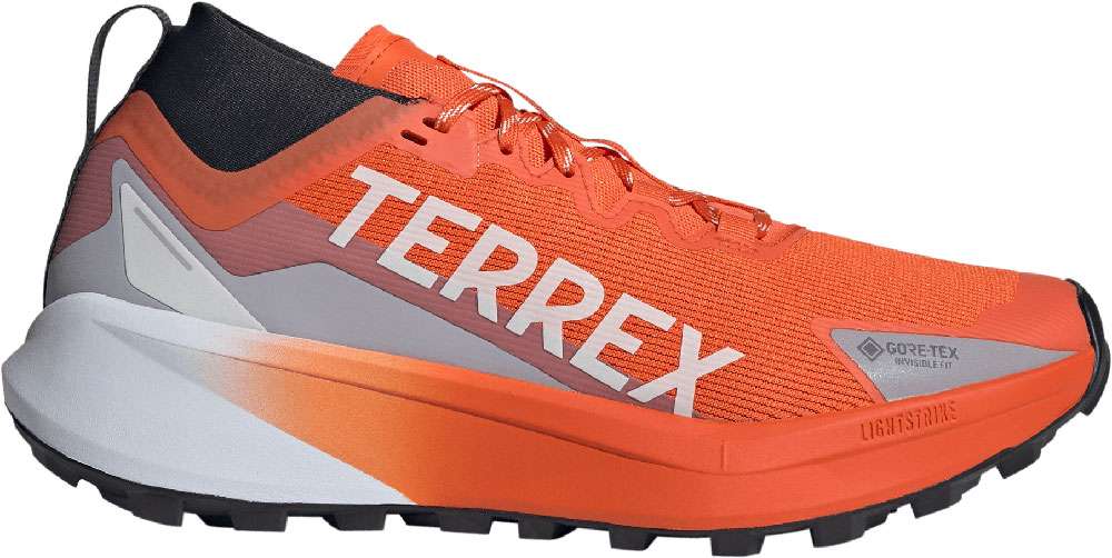 Adidas Terrex Agravic GTX - Chaussures de trail