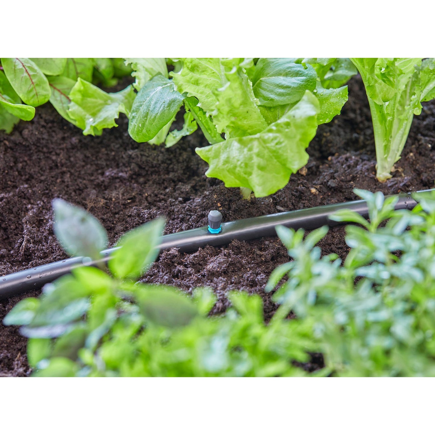 Pulvérisateur Gardena Micro-Drip-System 90 °