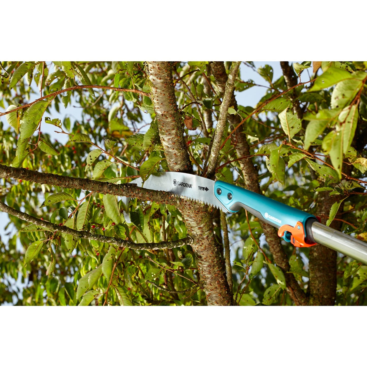 Gardena Clegry System-Pruning Couche 300 P Bent