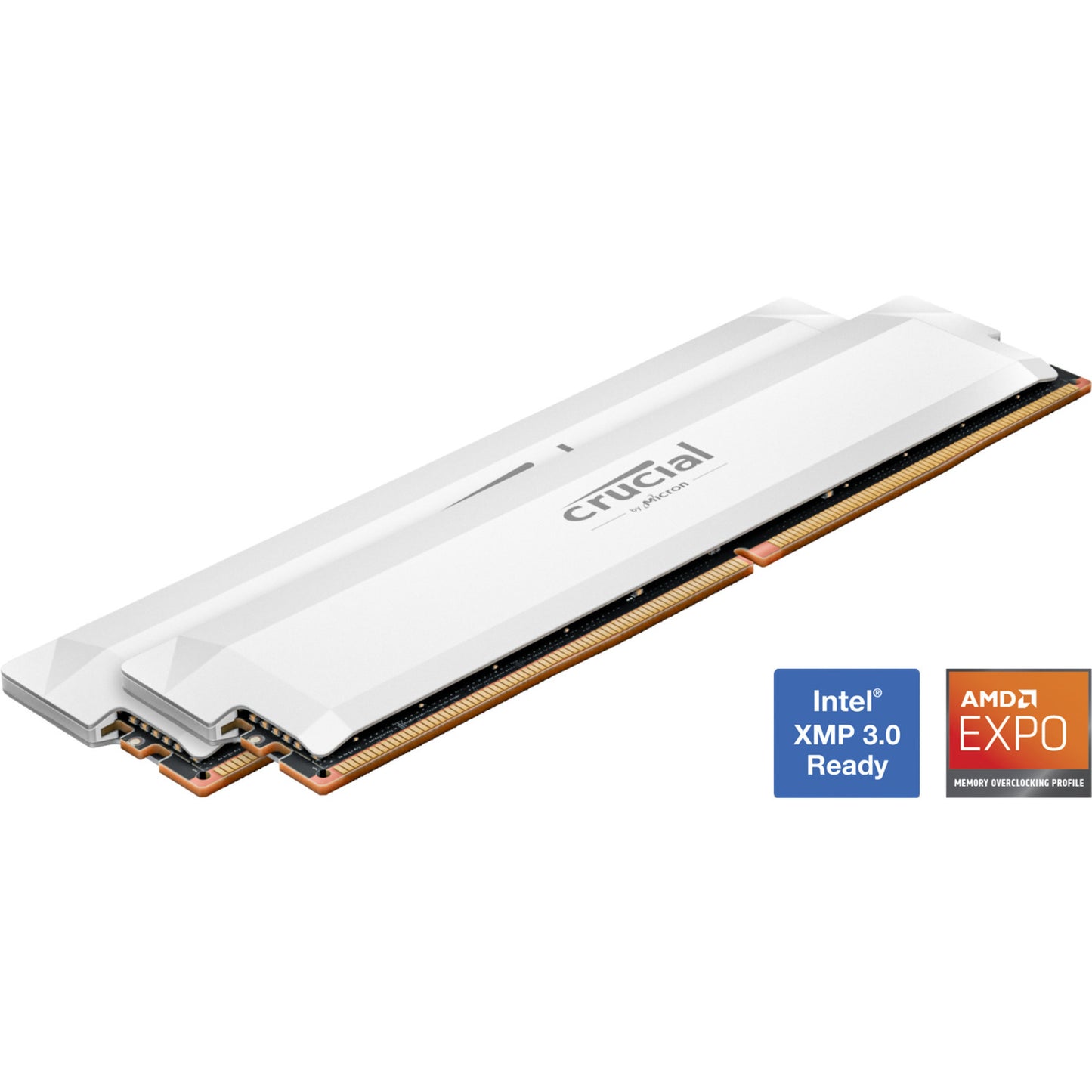 32 Go crucial DDR5-6000 (2x 16 Go) double kit