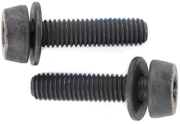 Boulons de fixation Campagnolo pour freins à disque (pack de 2)