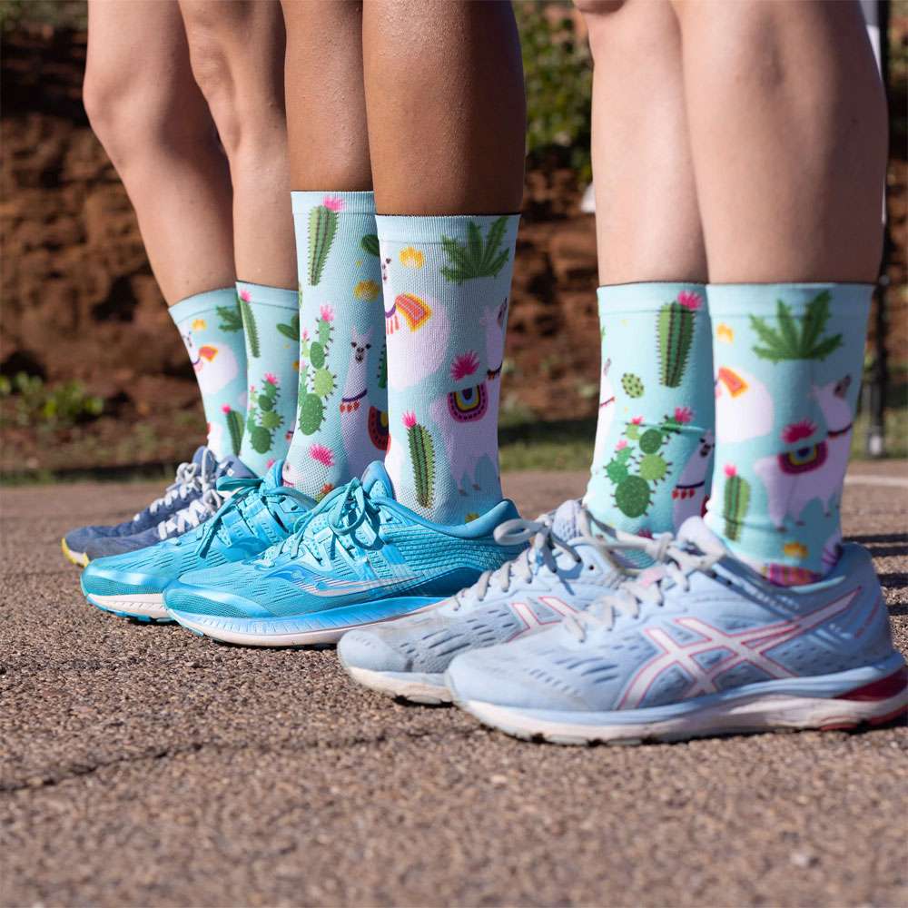 Sox chaussures animaux - chaussettes