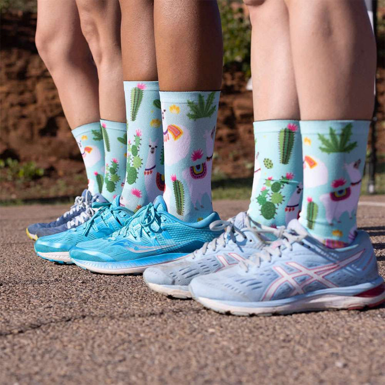 Sox chaussures animaux - chaussettes