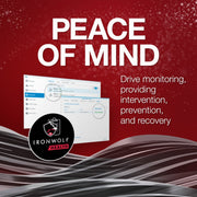 Disque dur Seagate ironwolf 8 To (ST8000VN004, SATA 600, 24 7) - afbeelding 7