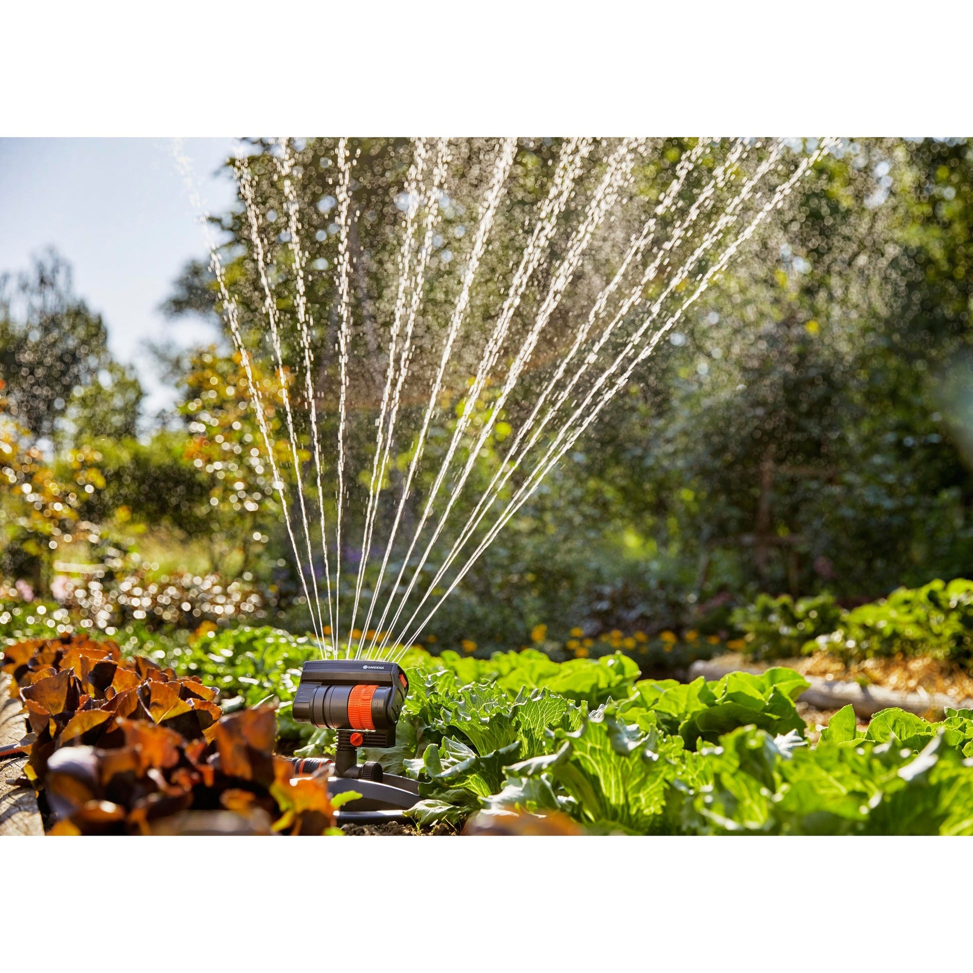 Pulporporteur pivotant Gardena Aquazoom compact