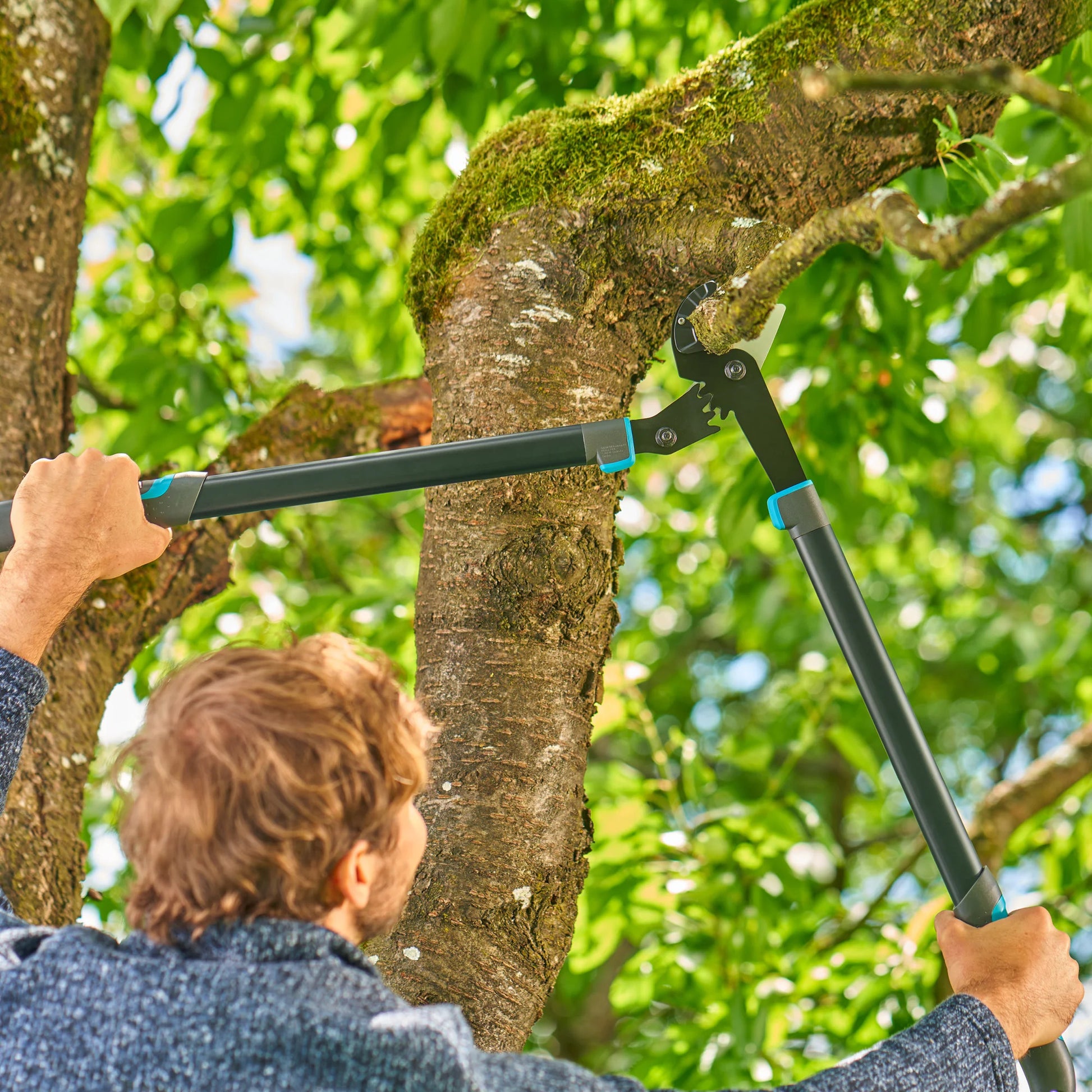 Gardena coupe-branches enclume Energycut Pro