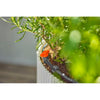 Ensemble de balcon d'élimination de micro-drip Gardena (15 plantes)