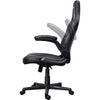 Trust GXT 703 Riye Gaming Chair