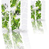 Unleazhed Unscratch - Film de protection du cadre Budz Color