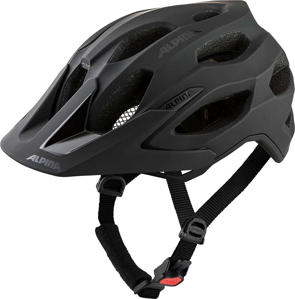 Alpina carapax 2.0 - casque vtt
