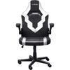 Trust GXT 703W Riye Gaming Chair