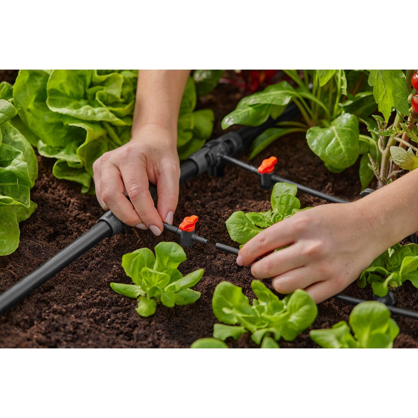 Gardena Micro-Drip-System T-pice 1 2 ”-3 16