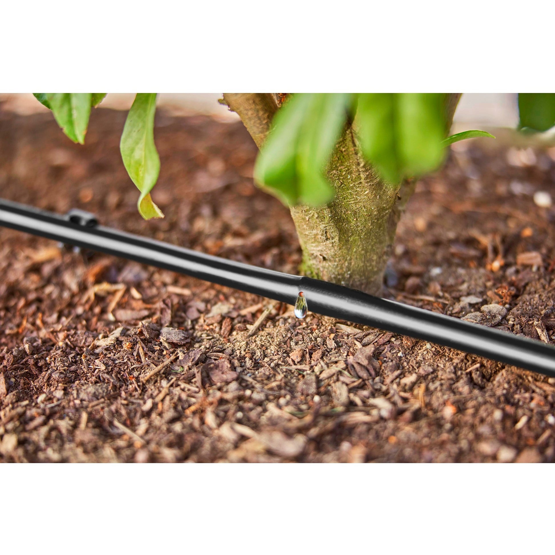 Tube de goutte Gardena pour buissons haies (50 m)
