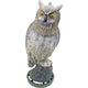 Obbink Grote Owl