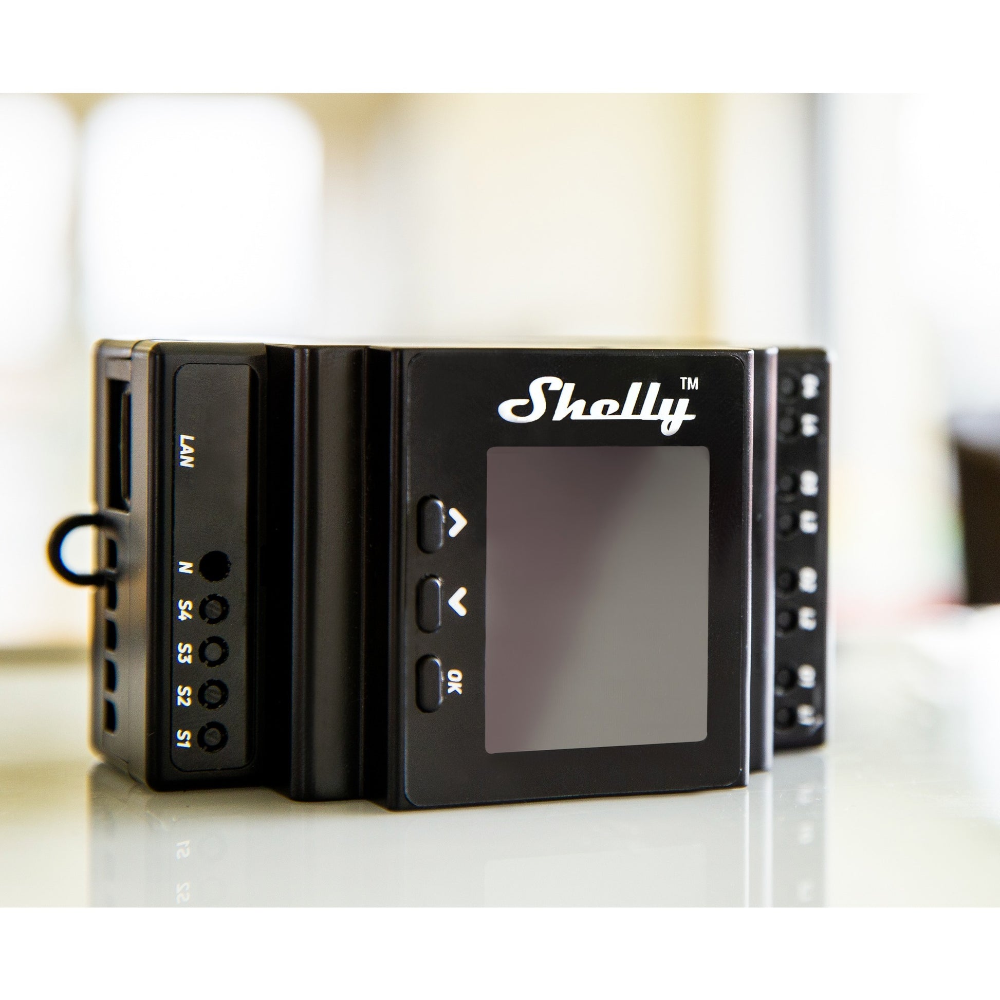 Shelly 16h