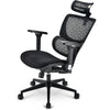 Sharkoon OfficePal C40
