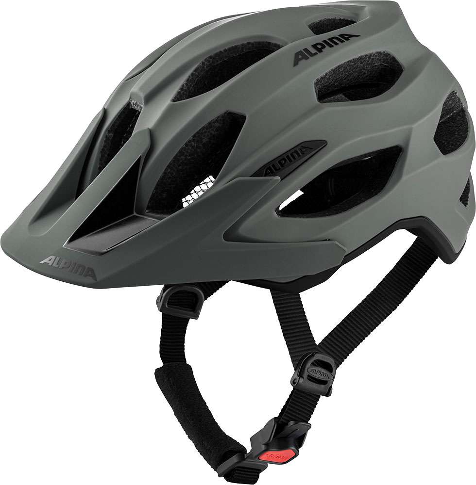 Alpina carapax 2.0 - casque vtt