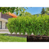 Gardena Micro-Drip Repoval Heggen Scrubs SCHS (50 M)