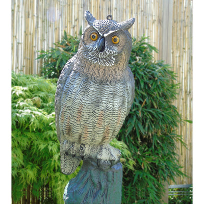 Obbink Grote Owl