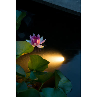 Ubbink Ubbink Aquaspotlight LED sous-marin