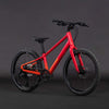 Cube numove 200 disque redrose'n'peach