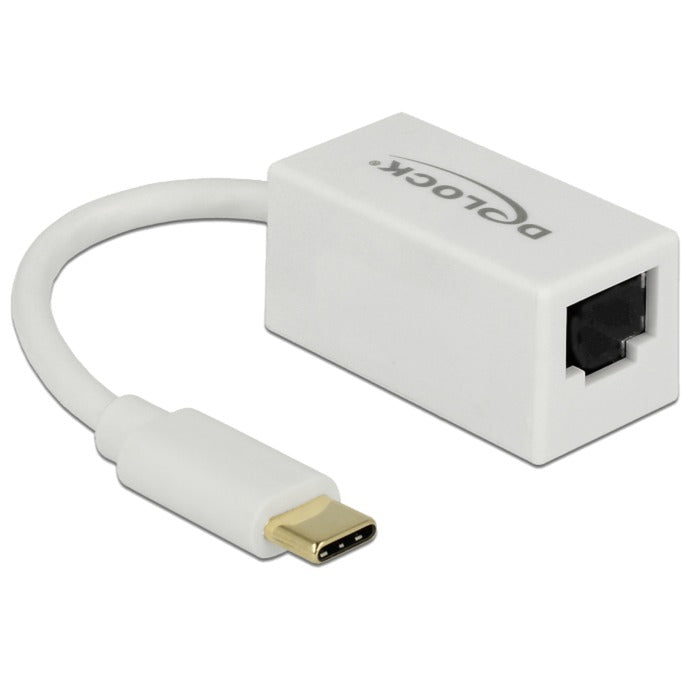 Dellock Superspeed USB-C (USB 3.1 Gen 1) Mâle> Gigabit la
