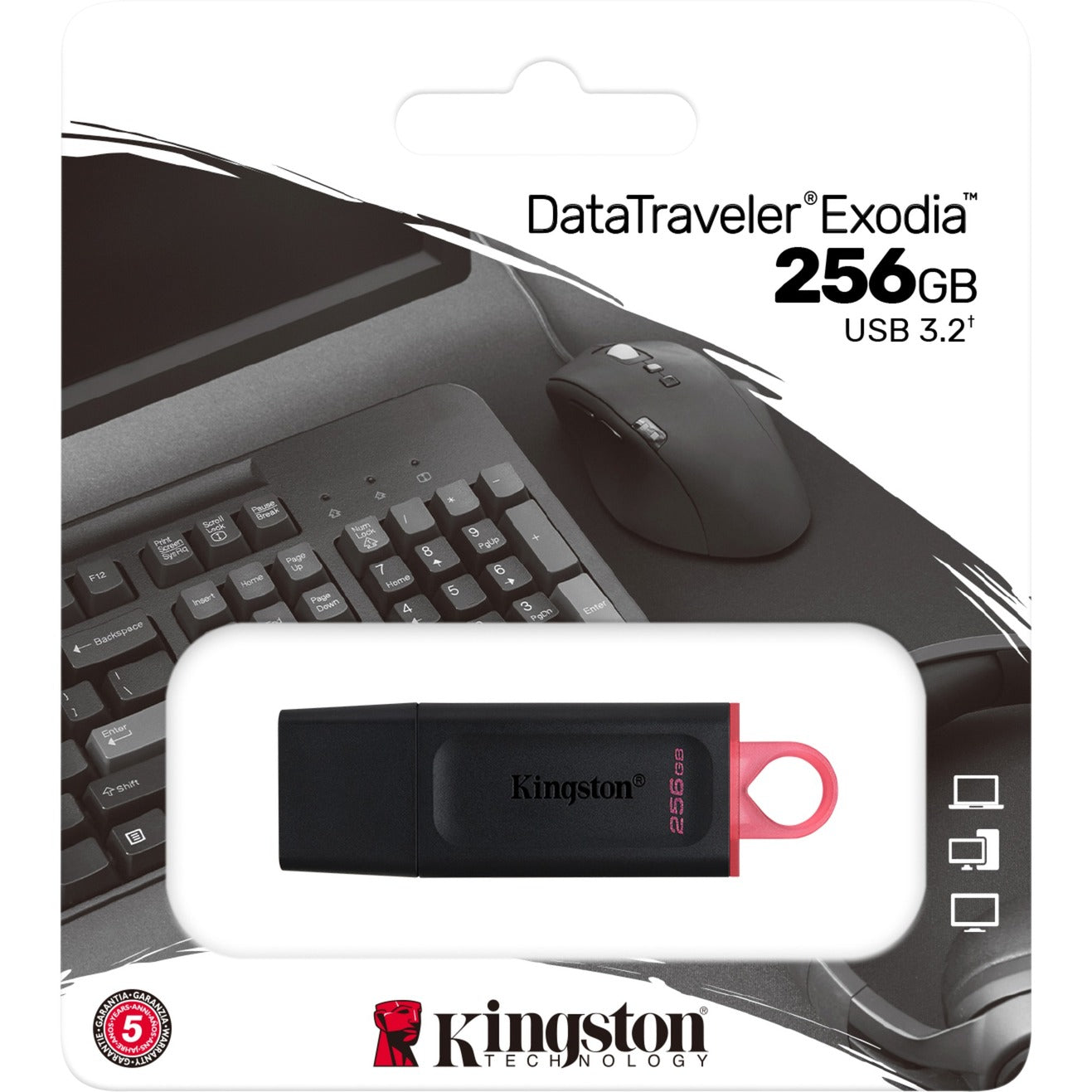Kingston DataTraveler Exodia 256 Go