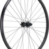 Roue arrière Newmen beskar 30 strong 29 6 boulons 12x148 fade