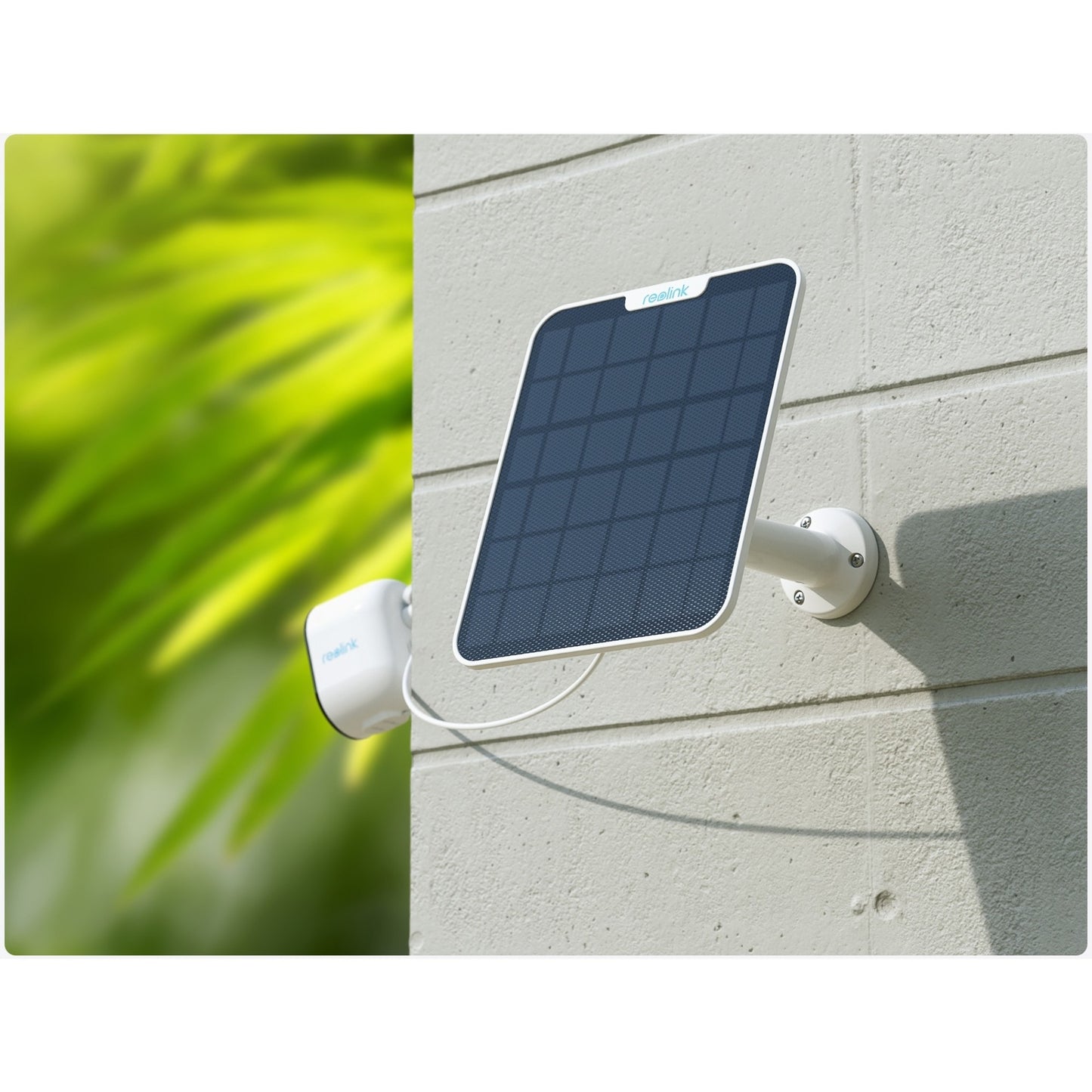 REOLINK PANNEL 2 (6W)