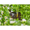 Gardena Serieddruppelaar 2 l u, compensation de pression