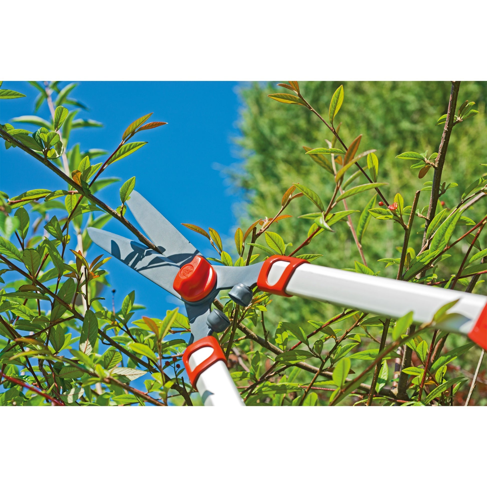 Télescope de ciseaux de haies de Garten Wolf-Garten HS 1000 T