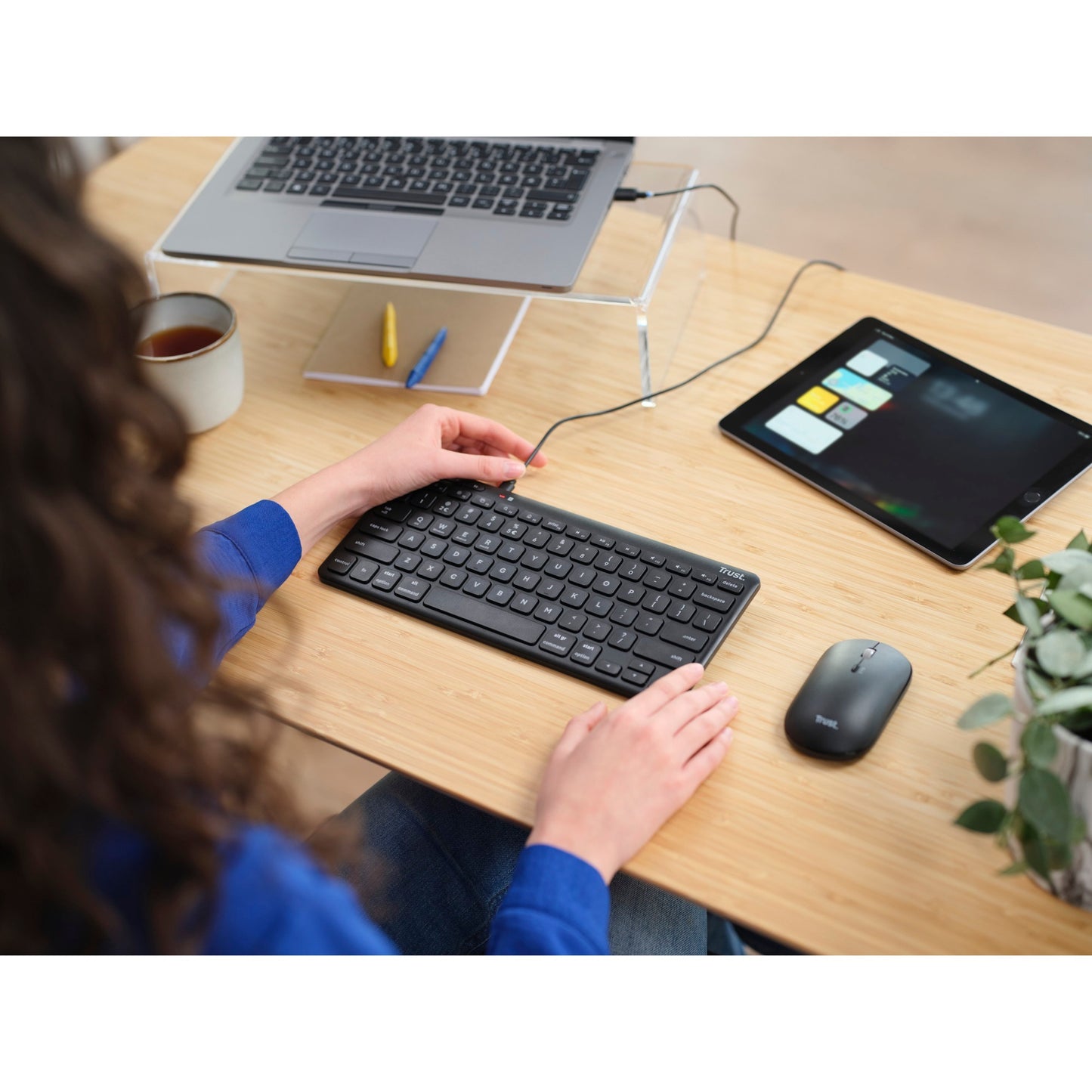 Faites confiance au clavier sans fil compact Lyra compact