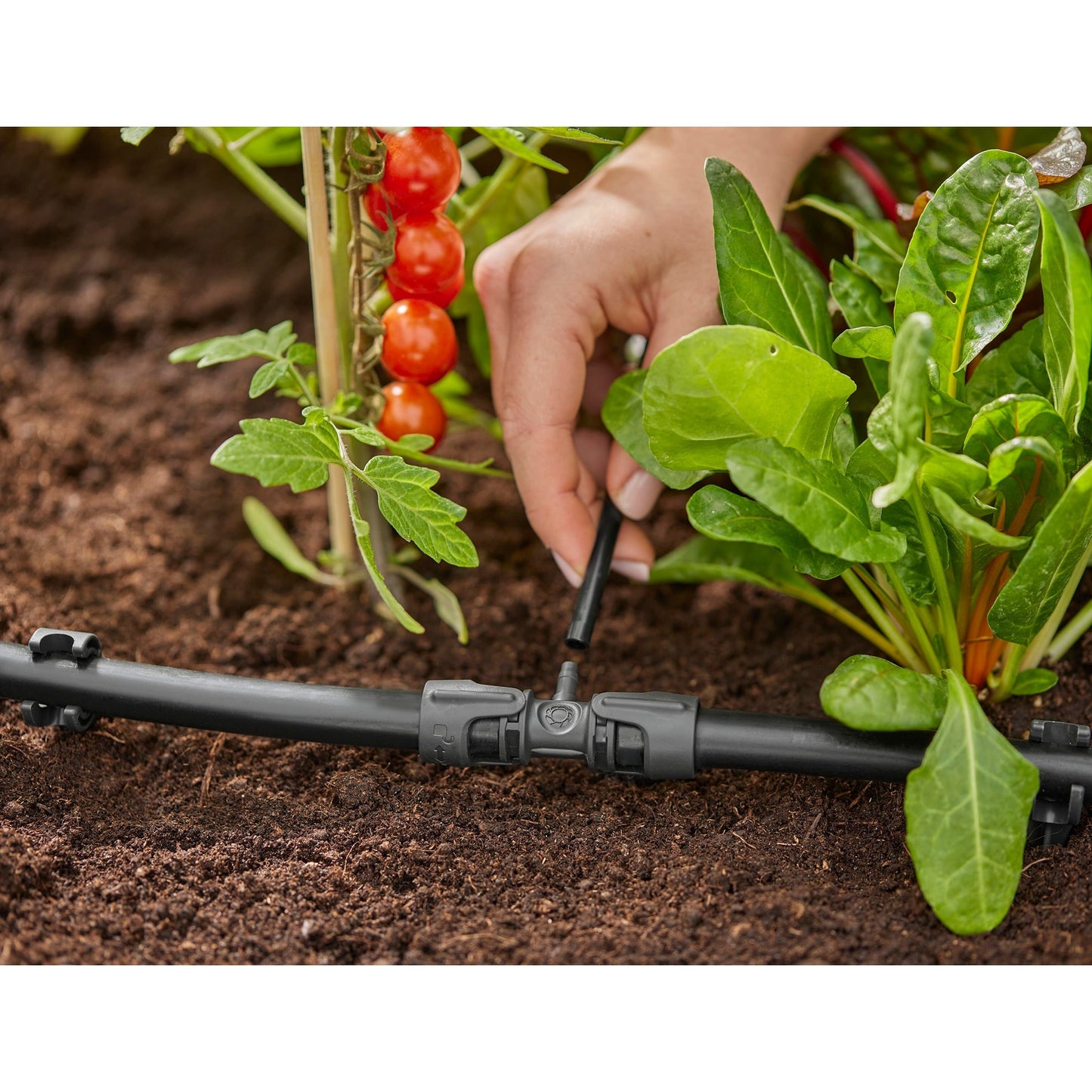 Gardena Micro-Drip-System T-pice 1 2 ”-3 16