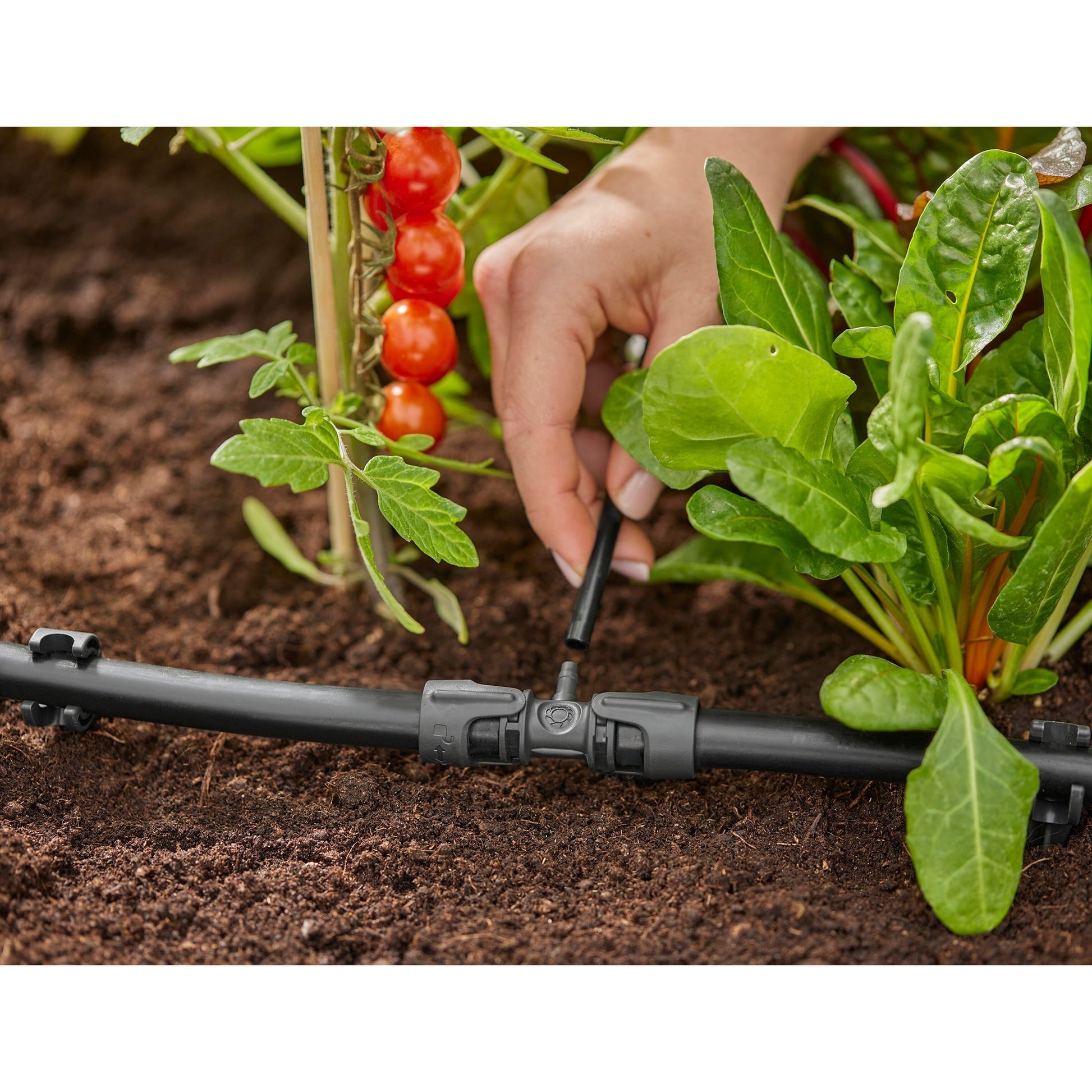 Gardena Micro-Drip-System T-pice 1 2 ”-3 16