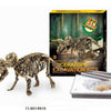 Aro sculptant un squelette de dinosaure tricératops 23cm