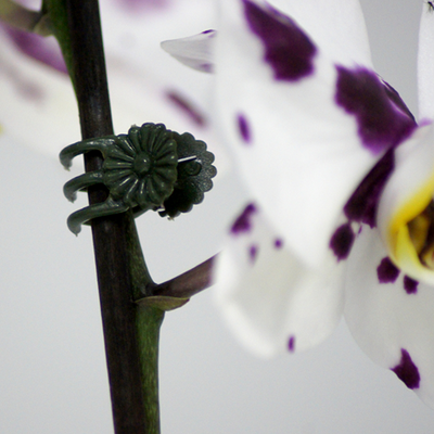 Clips Connex pour orchidées 30 pièces - flor78840