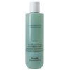 Farmavita améthyste avance purifier shampooing antipelliculaire 250 ml