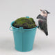 Animaux de ferme pot cintre oiseau vanneau