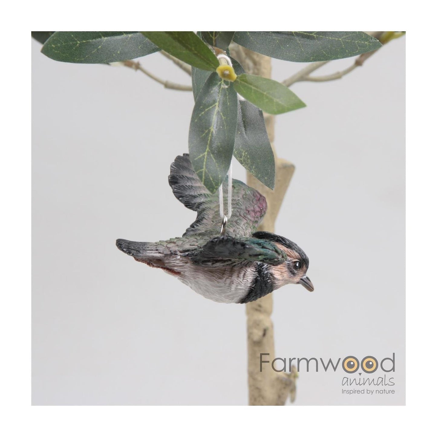 Animaux de ferme oiseau vanneau volant