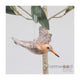 Animaux de ferme oiseau barge volant