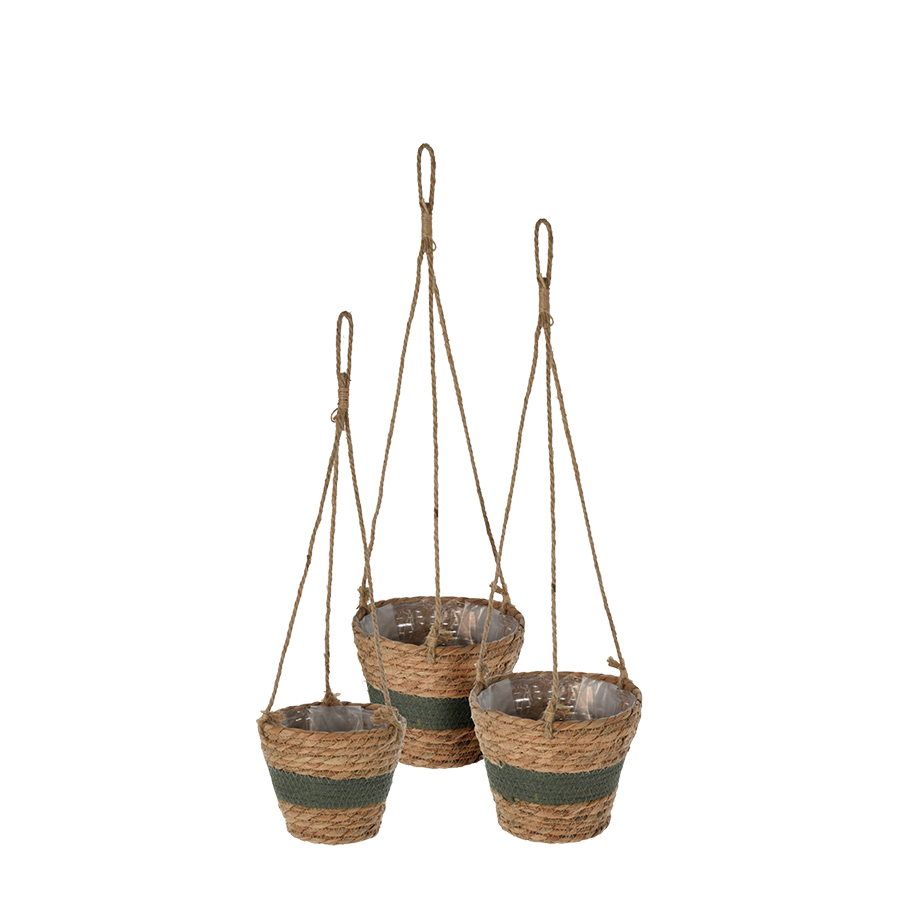 Set de pots de fleurs suspendus quenouilles feuilles vert foncé 3 pièces